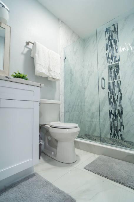 Grey Novo Studio + Free-Parking&Wifi Tampa Eksteriør billede