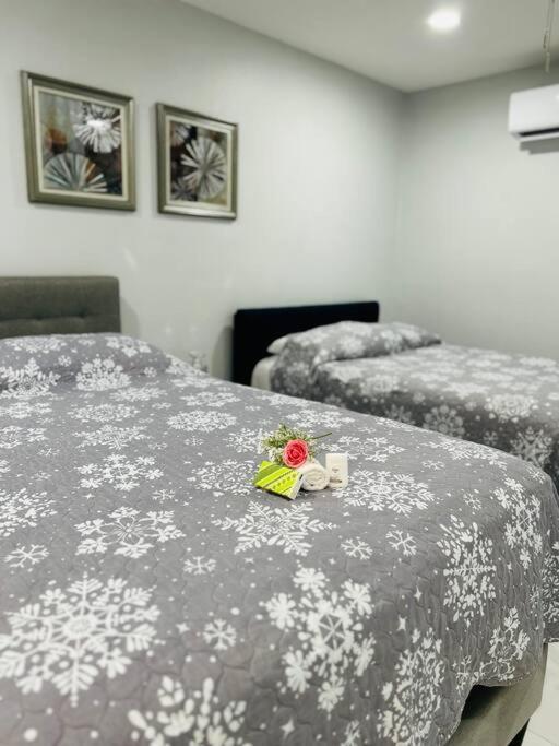 Grey Novo Studio + Free-Parking&Wifi Tampa Eksteriør billede
