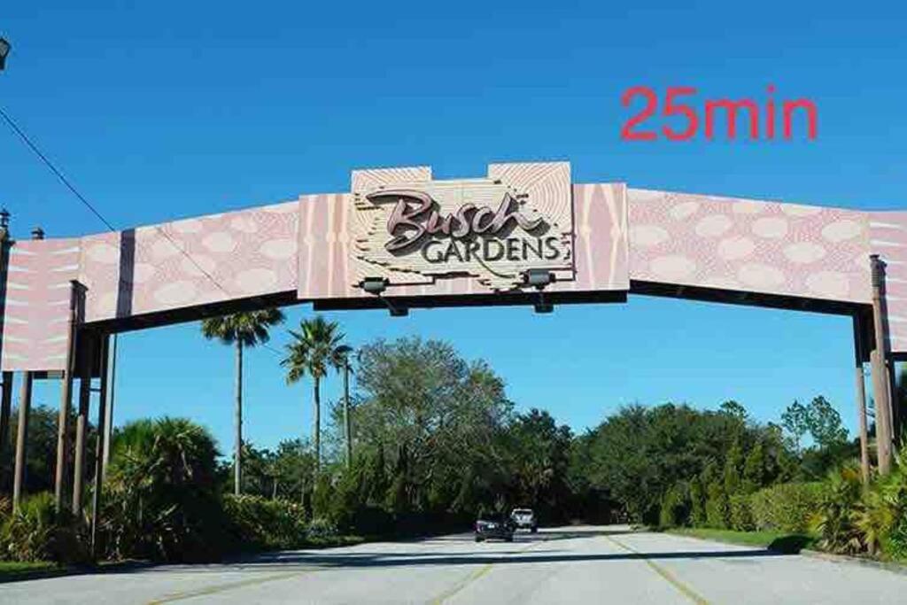 Grey Novo Studio + Free-Parking&Wifi Tampa Eksteriør billede