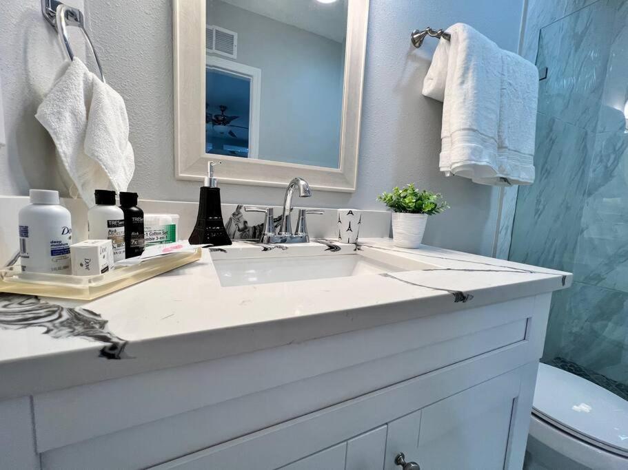 Grey Novo Studio + Free-Parking&Wifi Tampa Eksteriør billede